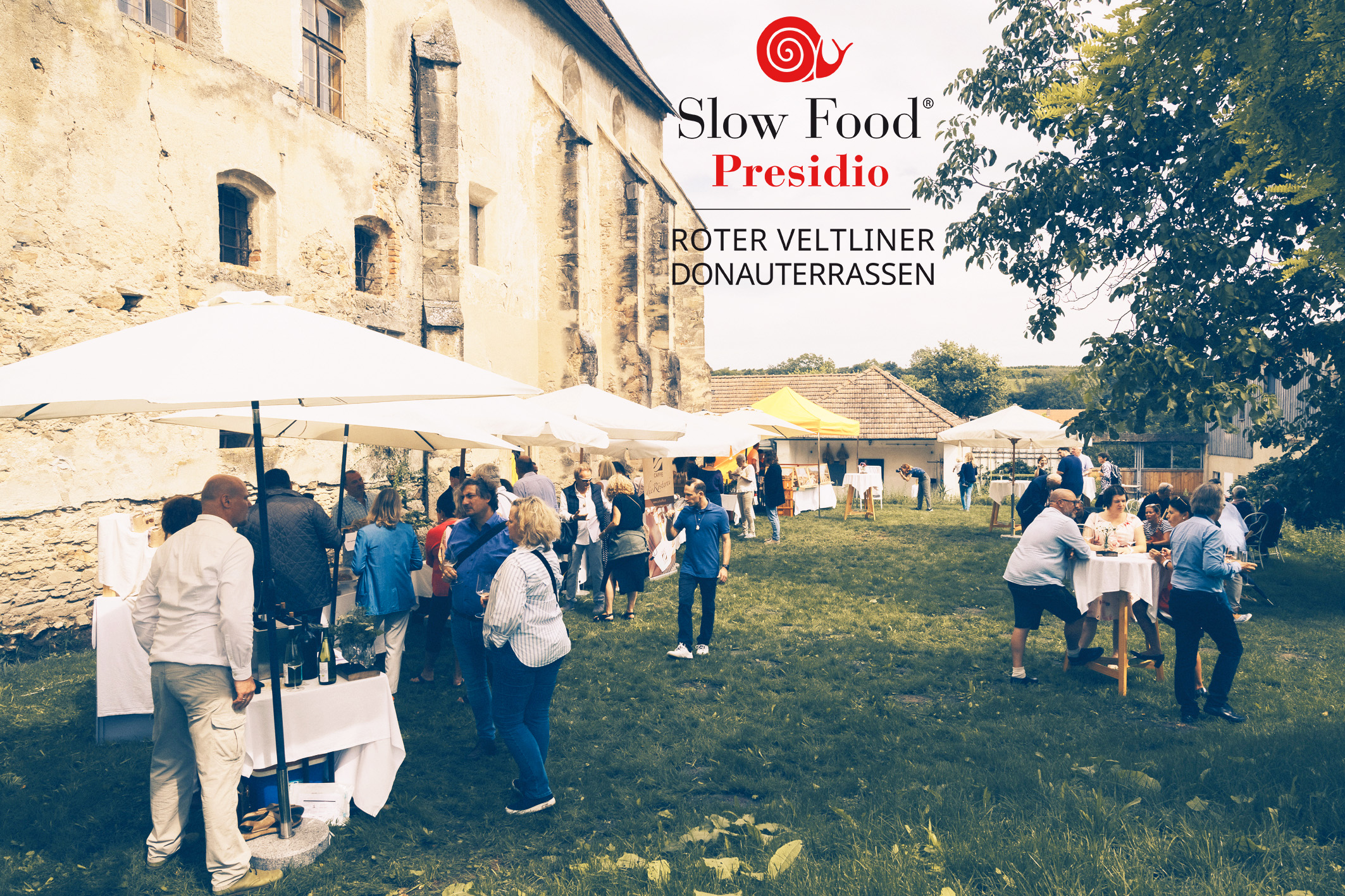 RoterVeltlinerDonauterrassen WEB 009