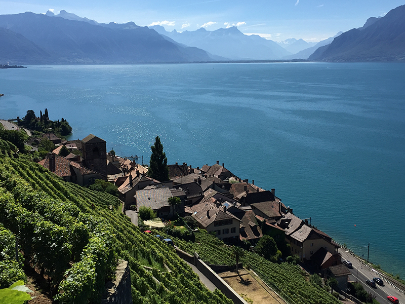 hr vaud lavaux ete 0638 MR