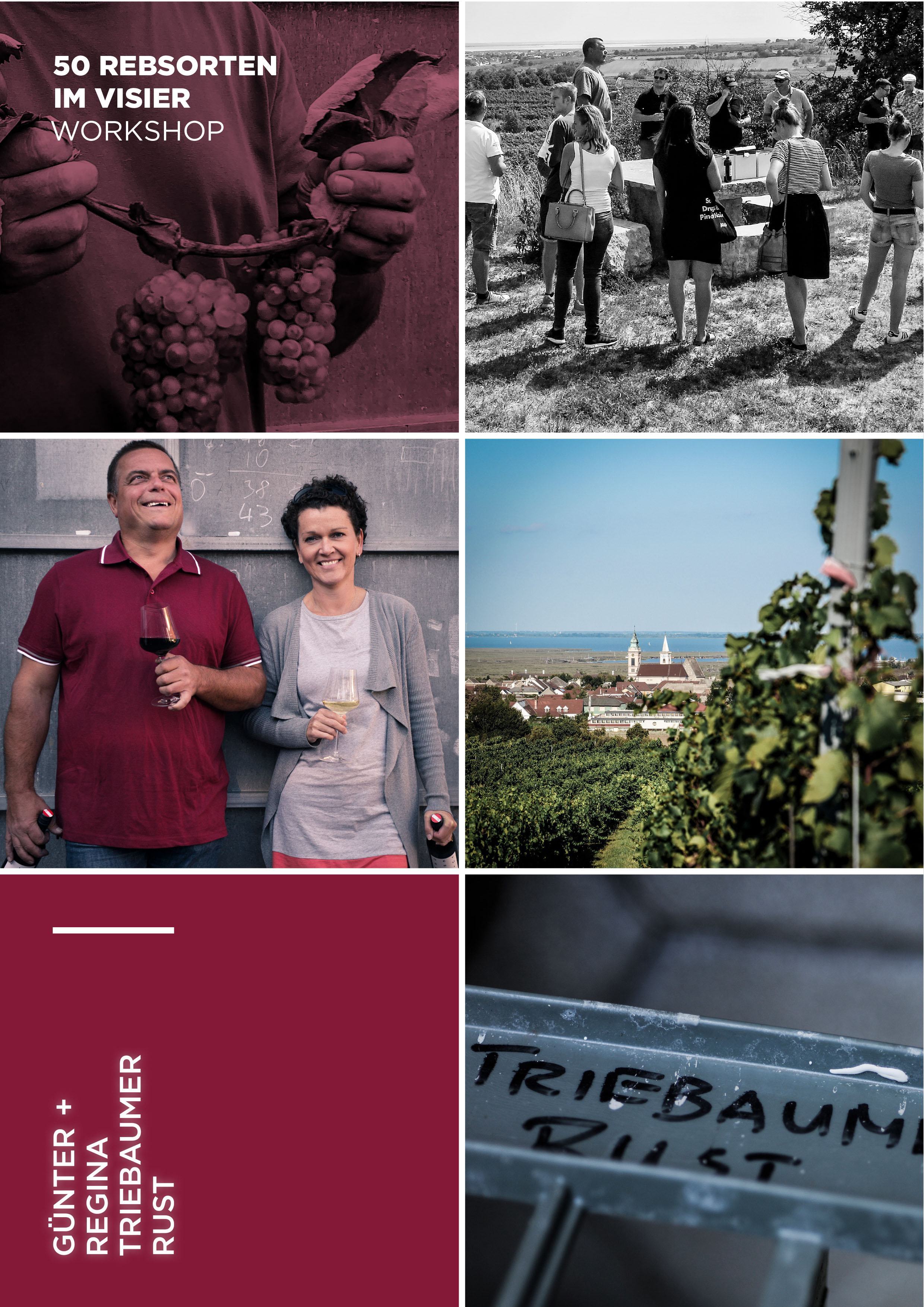 2019.08.26. 50 Rebsorten Workshop GuR TRIEBAUMER 1